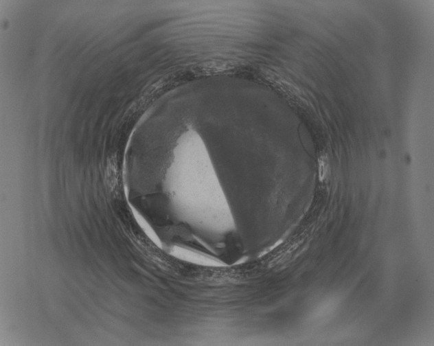 X0000076341011200610161728
