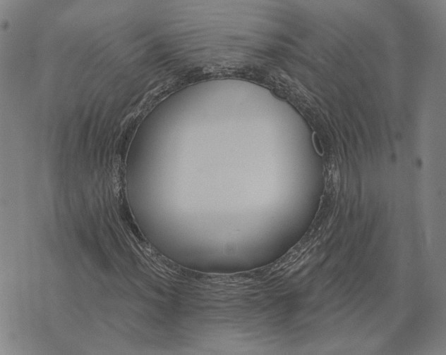 X0000076341012200610161728