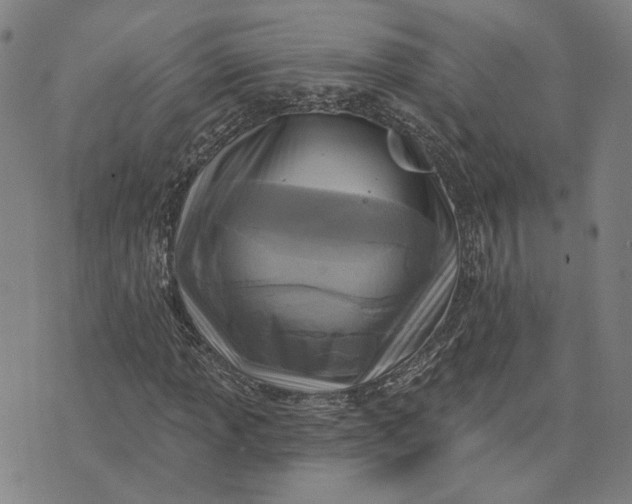 X0000076341013200610161728