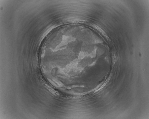 X0000076341023200610161728
