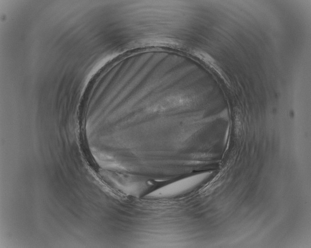 X0000076341024200610161728