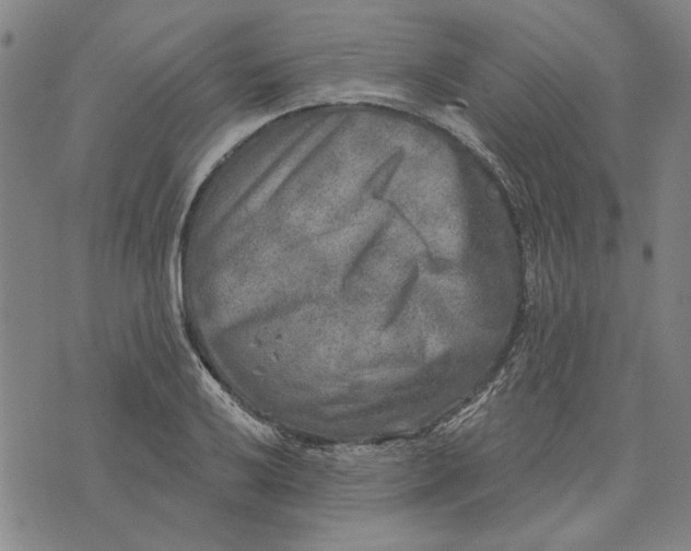 X0000076341032200610161729