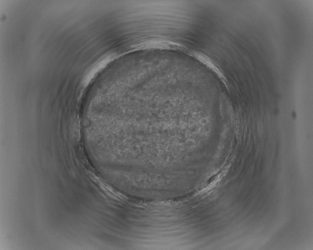 X0000076341067200610161728