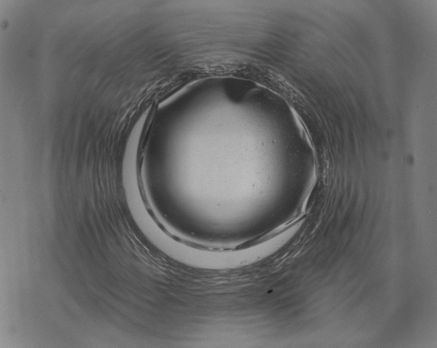 X0000076341108200610161727