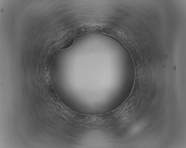X0000076341109200610161727