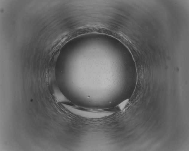 X0000076341110200610161727