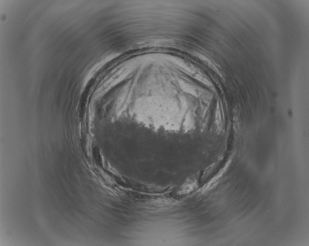X0000076341117200610161727