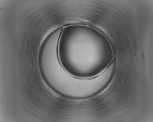 X0000076341122200610161727