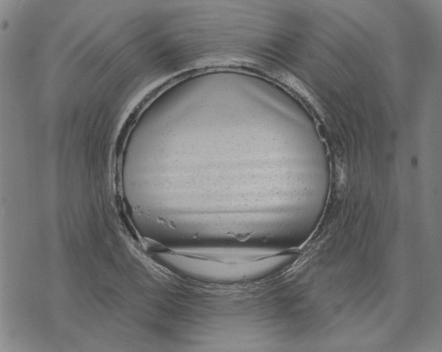 X0000076341124200610161727