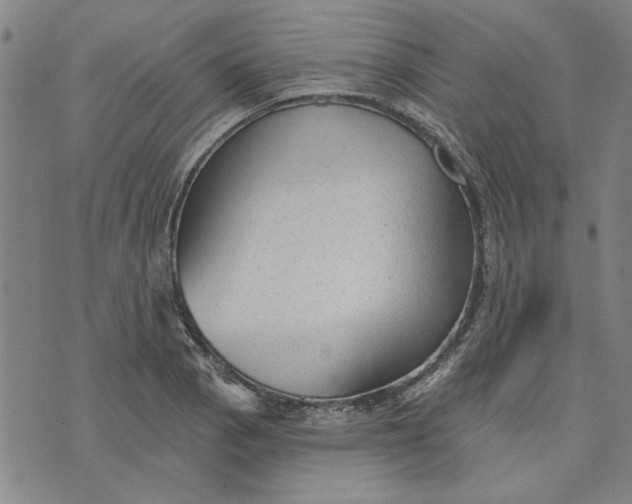 X0000076341129200610161727