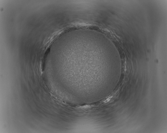 X0000076341157200610161727
