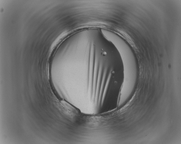 X0000076341180200610161726