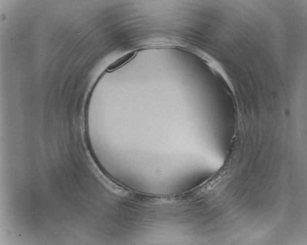 X0000076341195200610161726