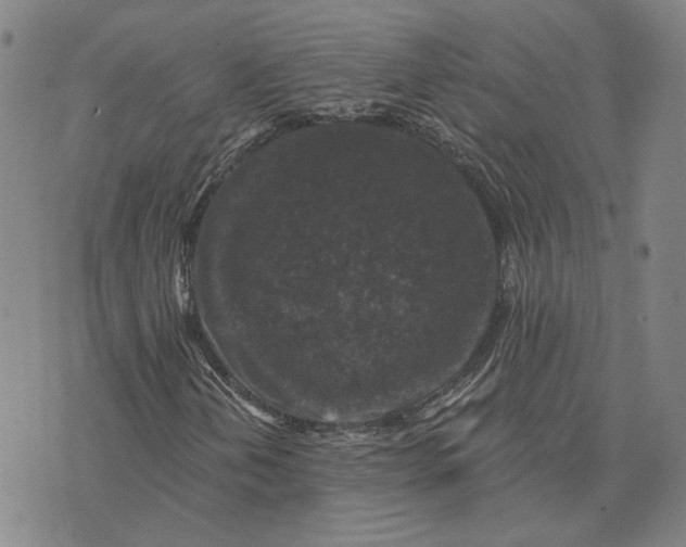 X0000076341202200610161725