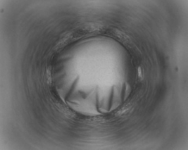 X0000076341203200610161725
