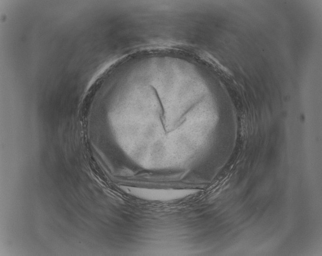 X0000076341208200610161725