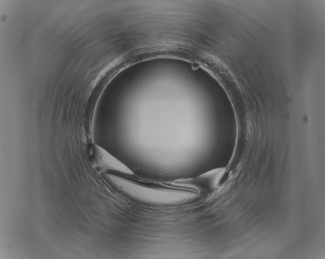 X0000076341210200610161725
