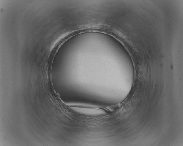 X0000076341214200610161725