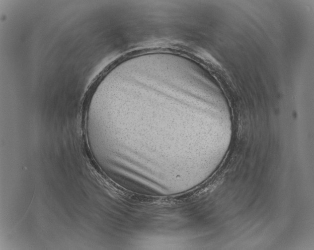 X0000076341216200610161725