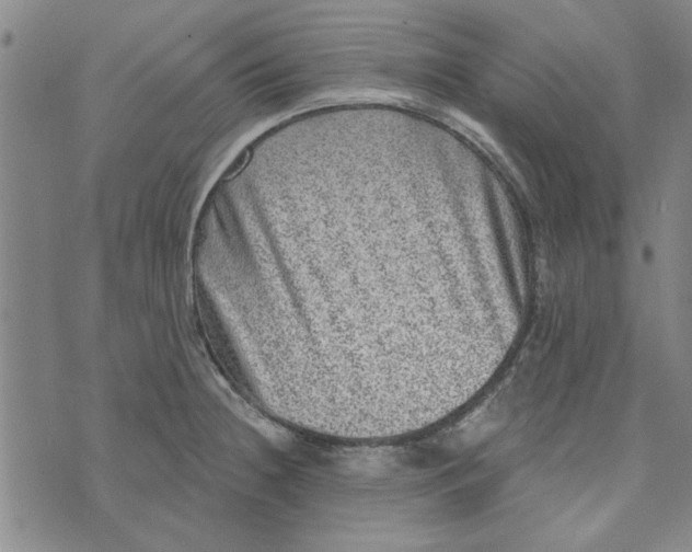 X0000076341236200610161726