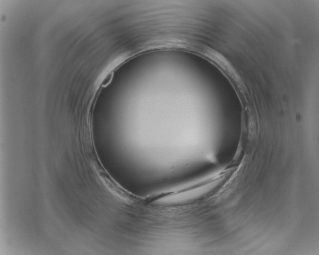X0000076341242200610161726