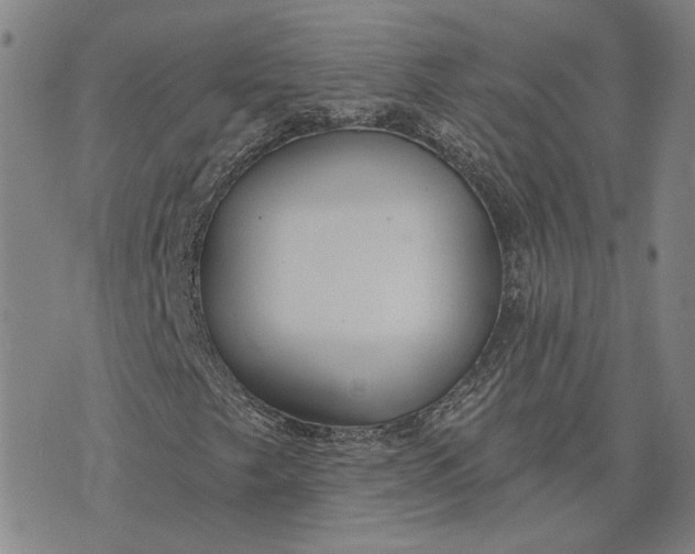X0000076341249200610161725