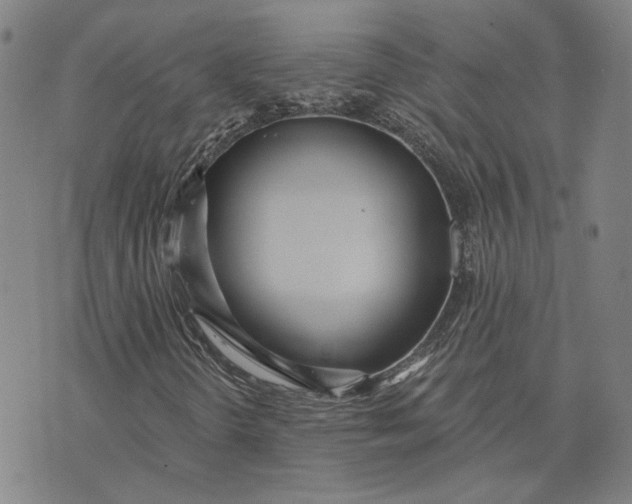 X0000076341298200610161724