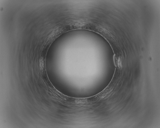 X0000076341299200610161724