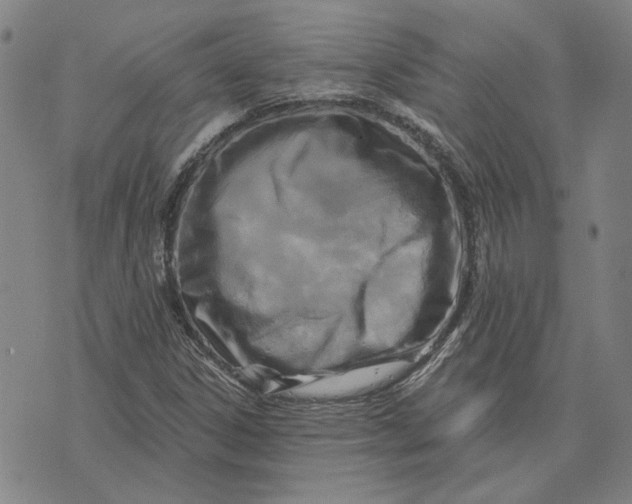 X0000076341306200610161724