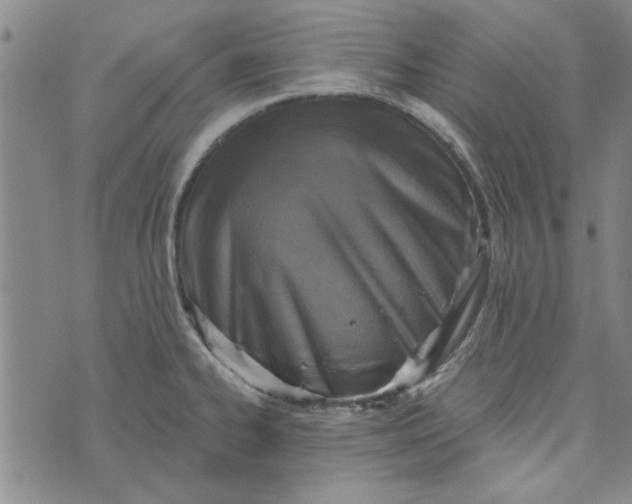 X0000076341334200610161724