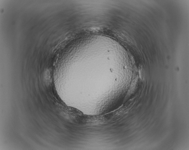 X0000076341347200610161723