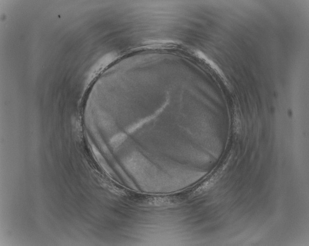 X0000076341362200610161723
