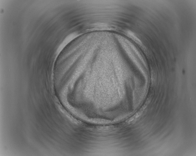 X0000076341378200610161723