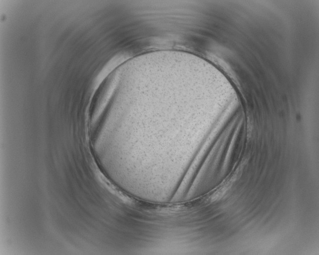 X0000076341386200610161723