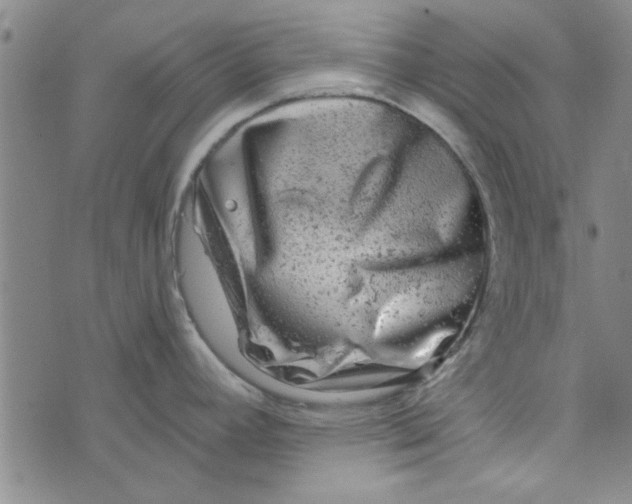 X0000076341392200610161723