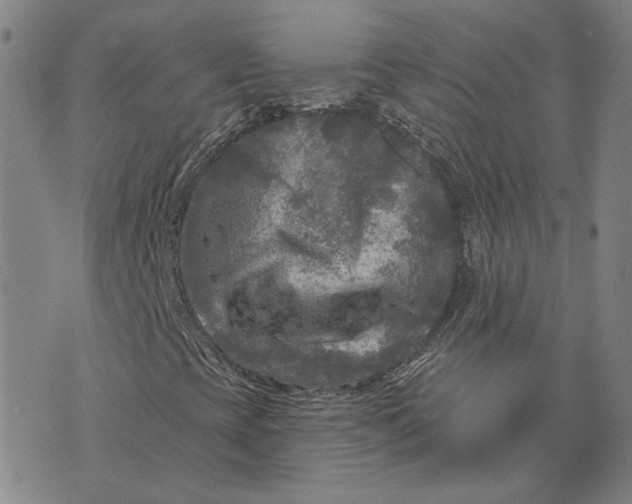 X0000076341393200610161722