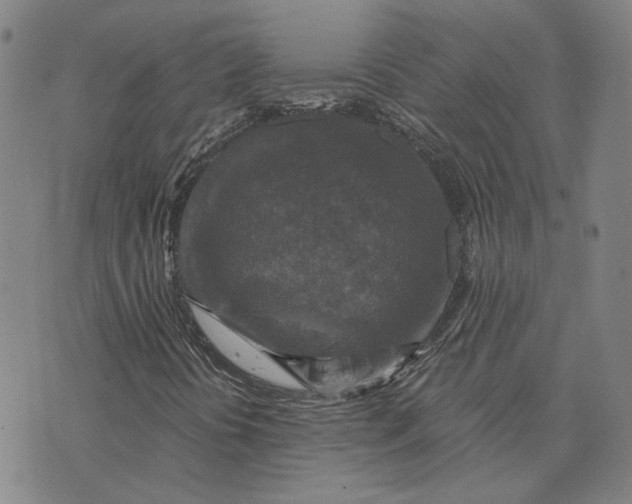 X0000076341394200610161722