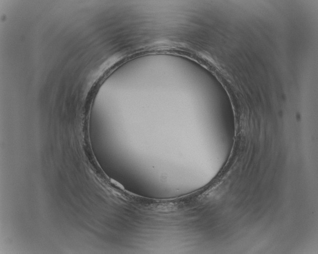 X0000076341410200610161722