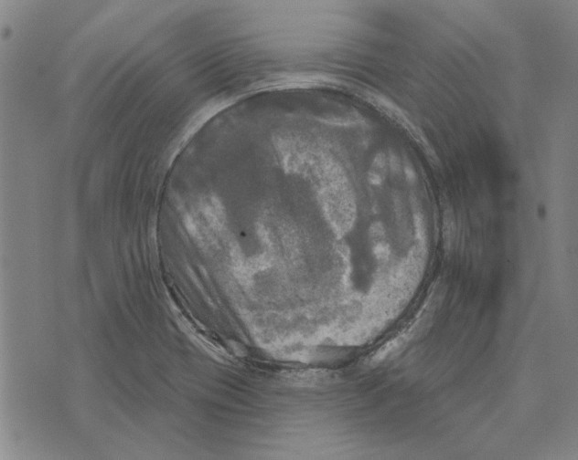 X0000076341417200610161722