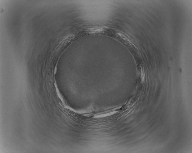 X0000076341441200610161722