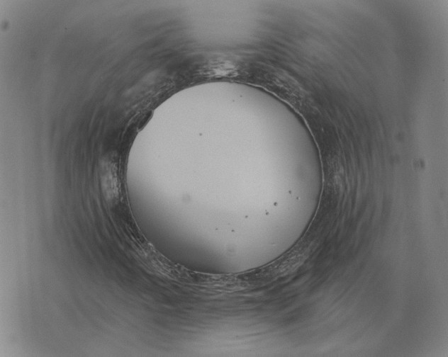 X0000076341442200610161722