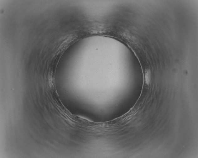 X0000076341444200610161722