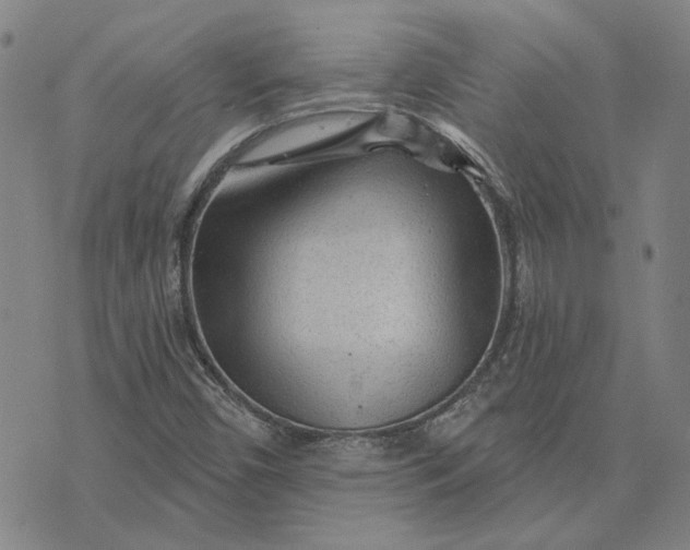 X0000076341450200610161722