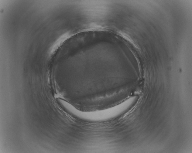 X0000076341455200610161722