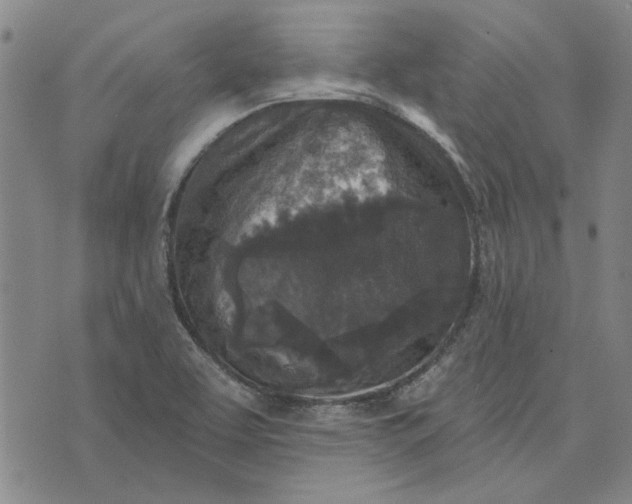 X0000076341463200610161722