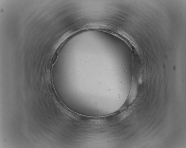 X0000076341465200610161722