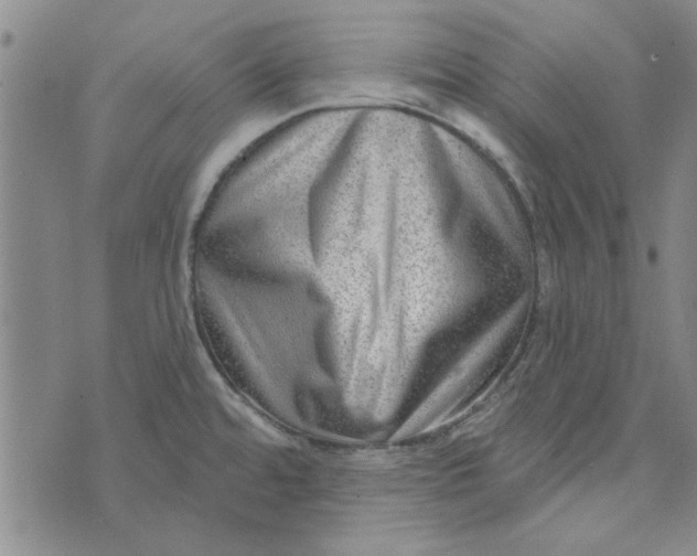 X0000076341480200610161721