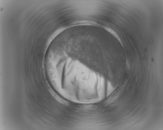 X0000076341482200610161721