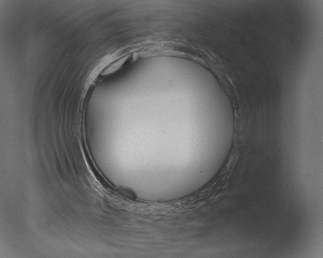 X0000076340003200610201746