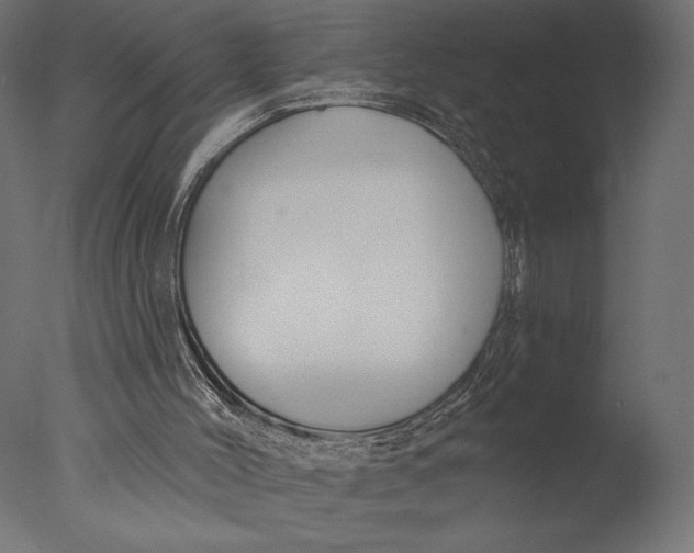 X0000076340004200610201746